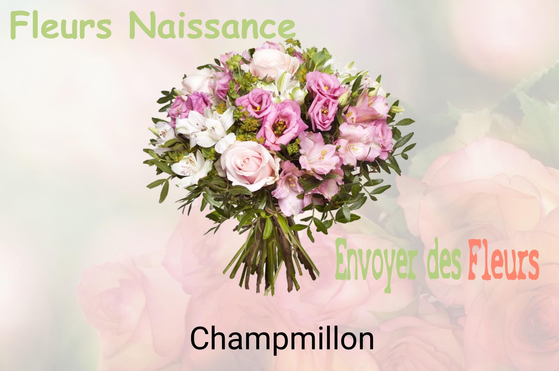 Bouquet de fleurs de naissance livré à Champmillon